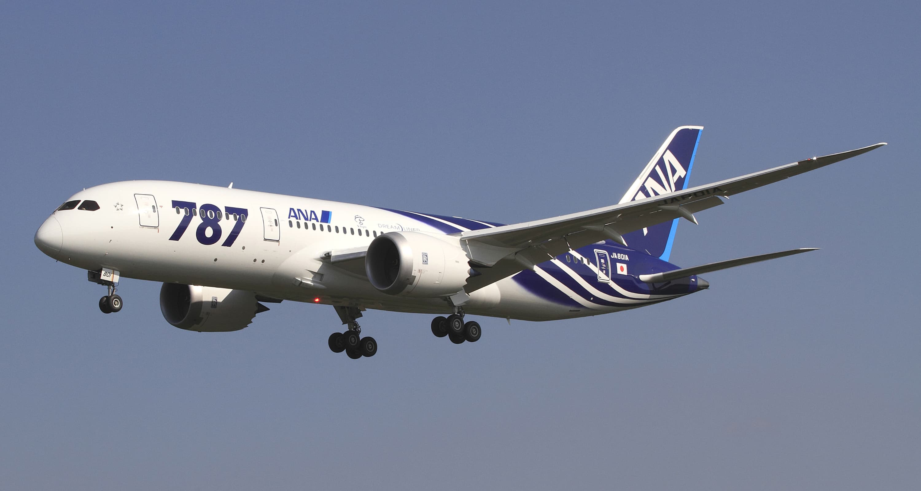 B787-8