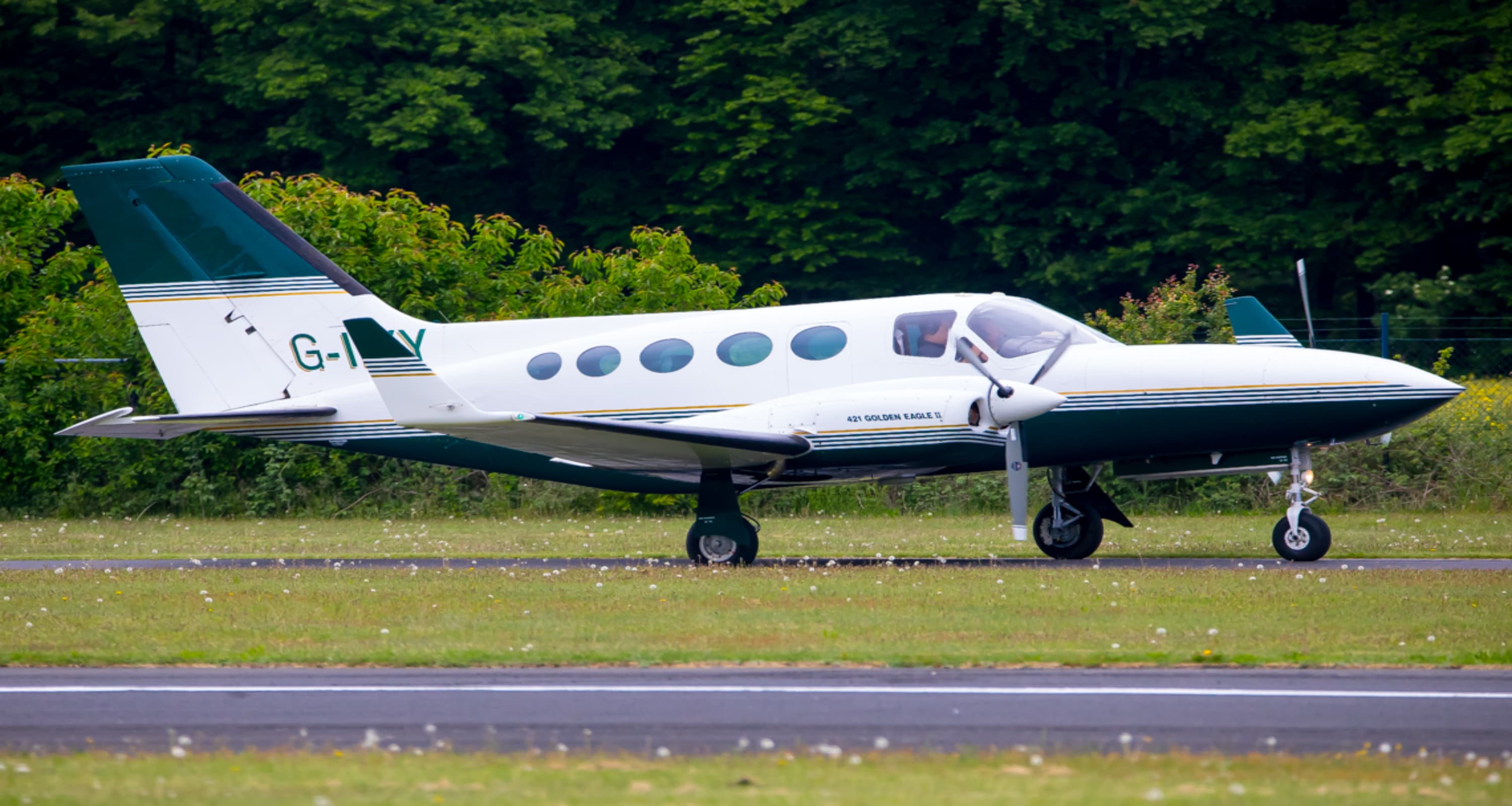 C421 Golden Eagle